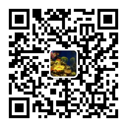mmqrcode1539657600541.png
